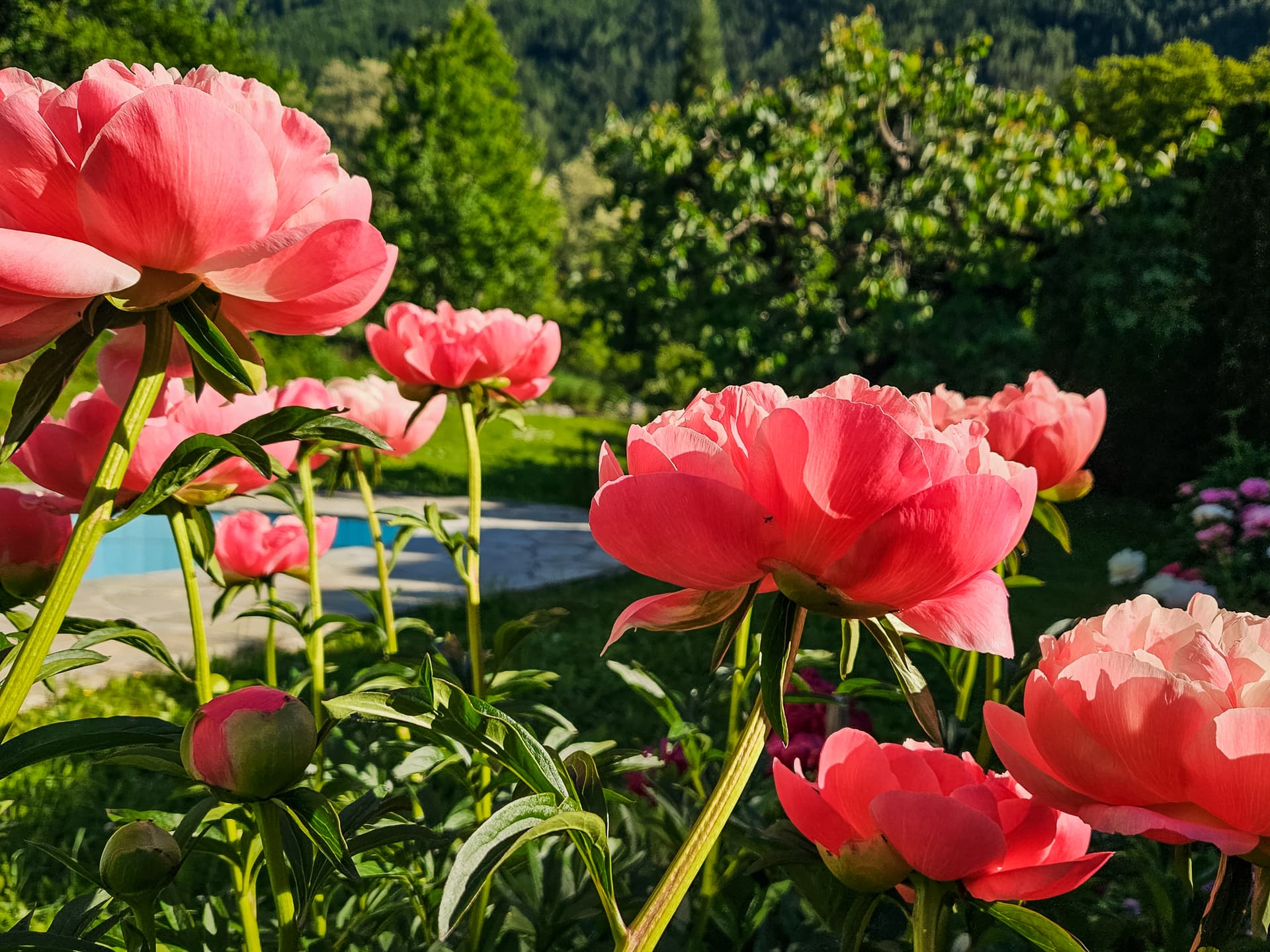 Scopri il tuo personale spazio d’energia