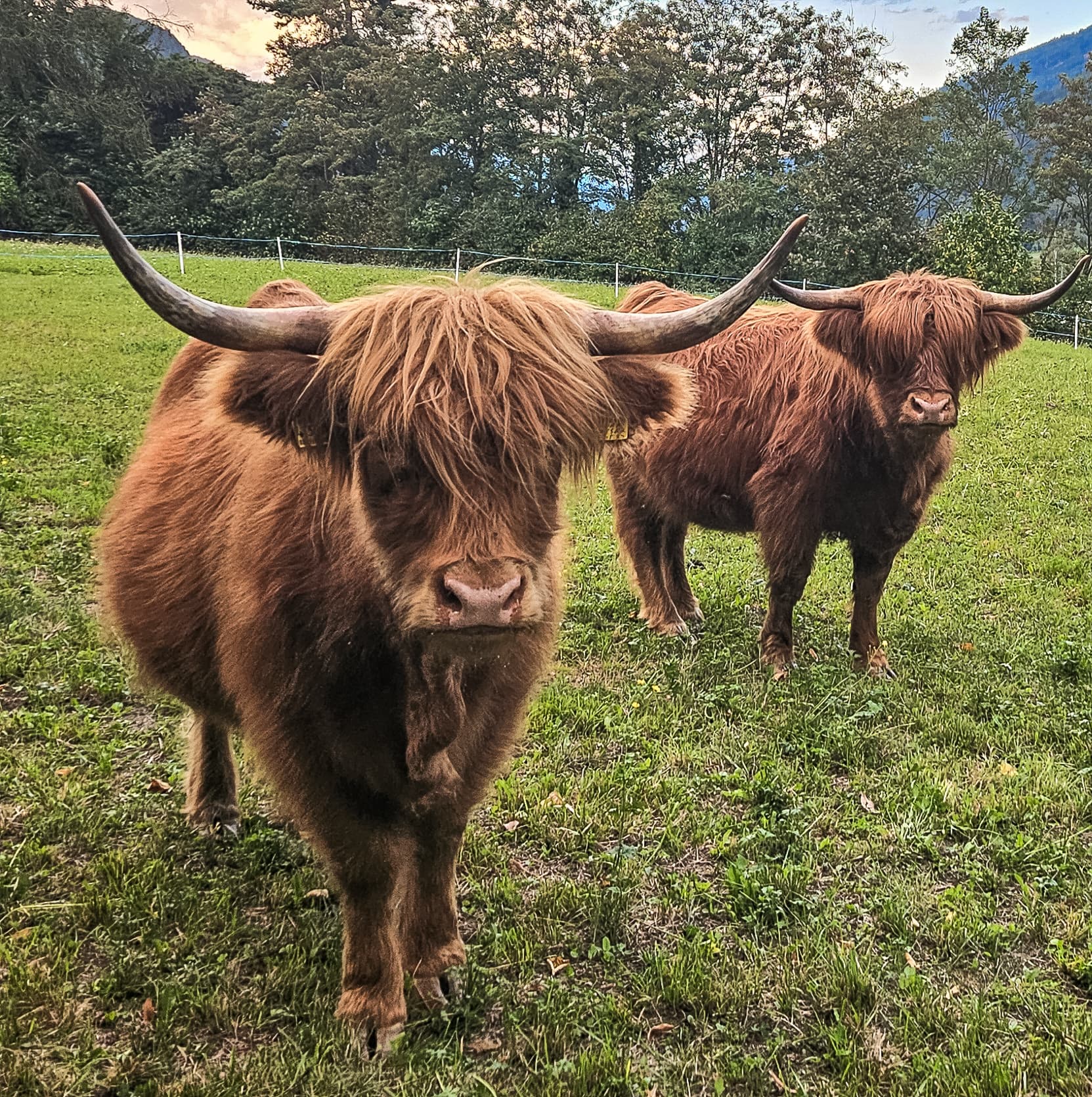 Mobilità ed esperienze